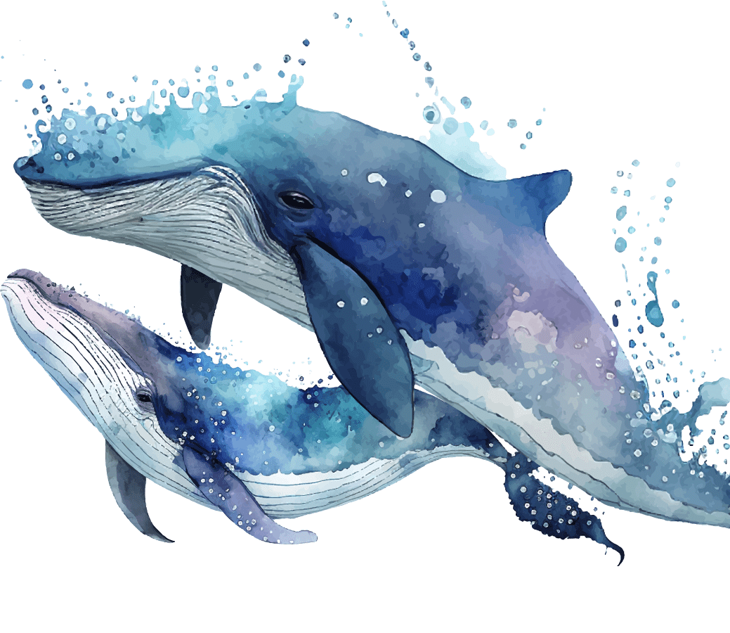 鯨のイラスト
